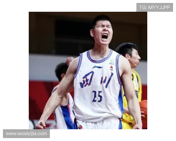 CBA官网更新自由球员名单新增袁振梁金意彭为中心球员 CBA官网更新自由球员名单新增袁振梁金意彭为中心球员