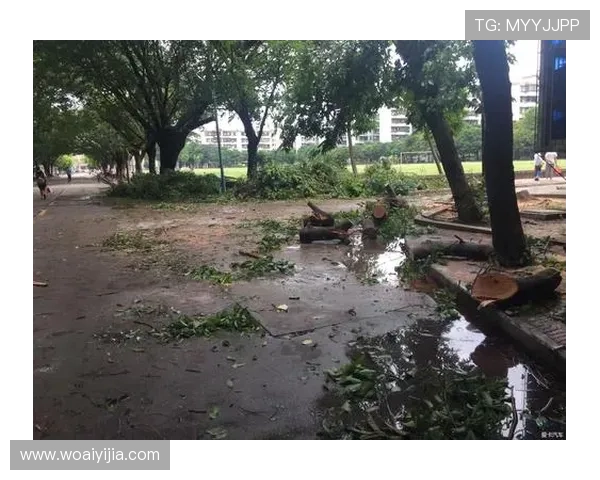 莫兹科夫批纽约环境混乱:千万豪宅周边垃圾堆积不堪入目 莫兹科夫批纽约环境混乱:千万豪宅周边垃圾堆积不堪入目